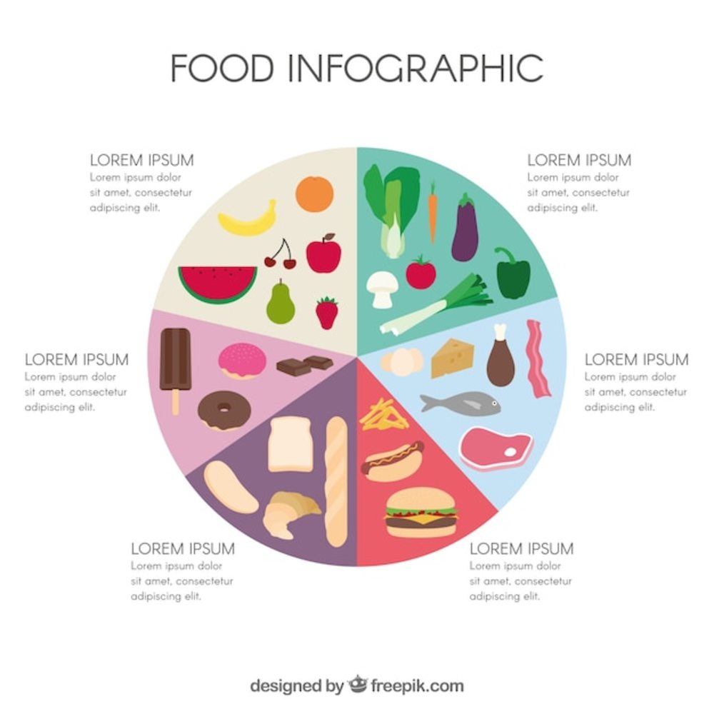 食品信息图表模板