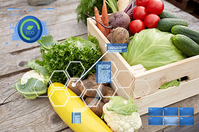 销售农业农业生态食品杂货店市场农场的桌子上的篮子中成熟的蔬菜